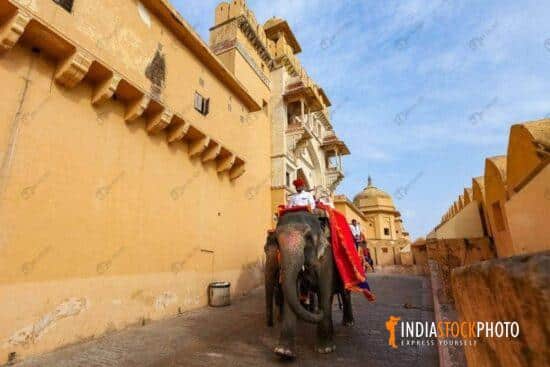 Decorated elephants at historic Amber Fort Jaipur
