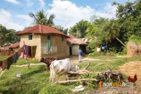 Rural Indian village with mud hut