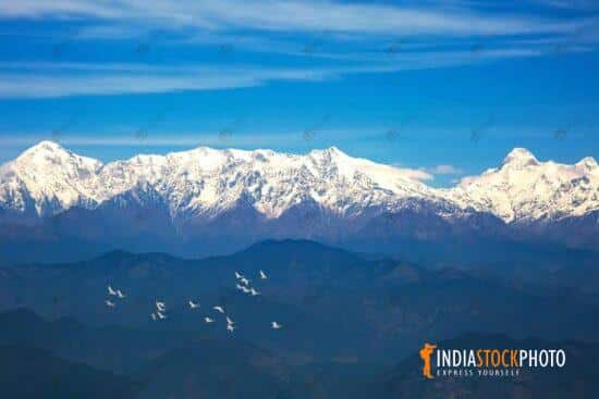 Kumaon Himalayan range with migratory birds as seen from Binsar Uttarakhand