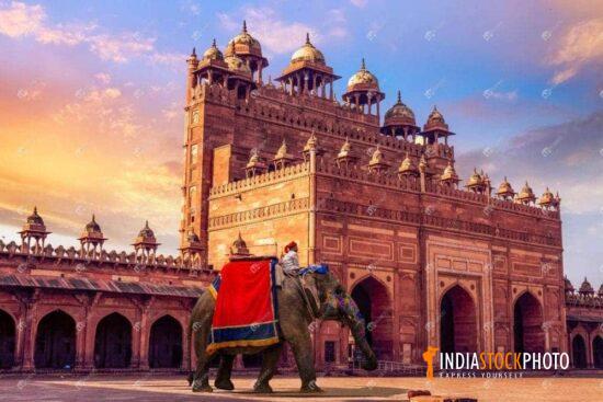 Decorated Indian elephant at Buland Darwaza Fatehpur Sikri Agra