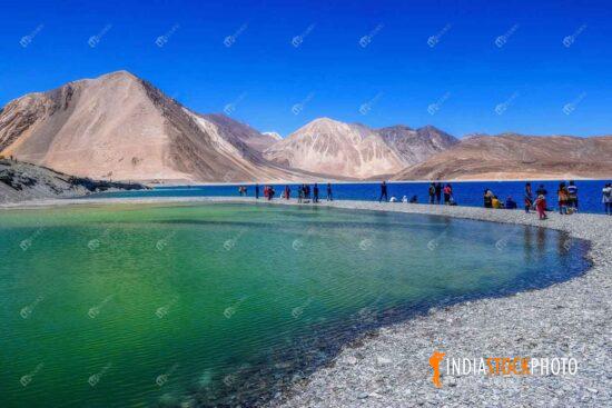 ourist enjoy at scenic Pangong lake Ladakh