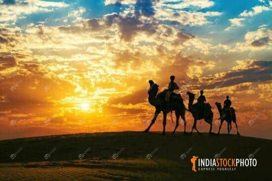 Camel caravan in silhouette at thar desert at sunset