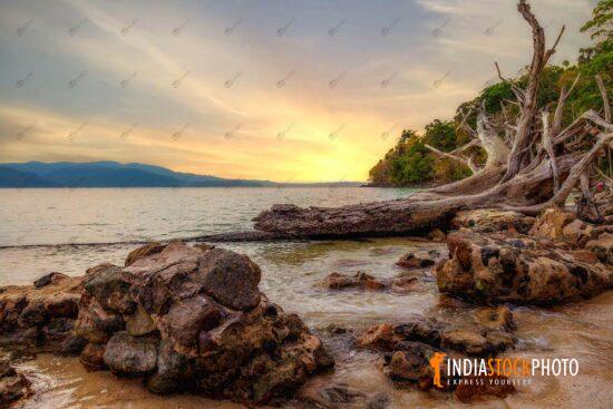 Chidiya Tapu sea beach Andaman at sunset