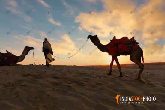 Man with camel used for tourist safari at the Thar desert Jaisalmer