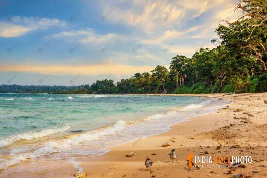 Neil island beach at Andaman and Nicobar islands at sunset