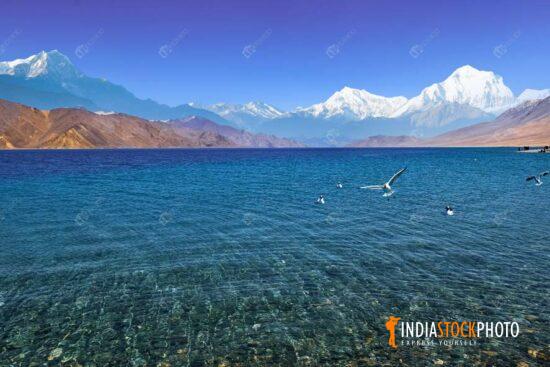 Pangong lake Ladakh with scenic Himalaya landscape