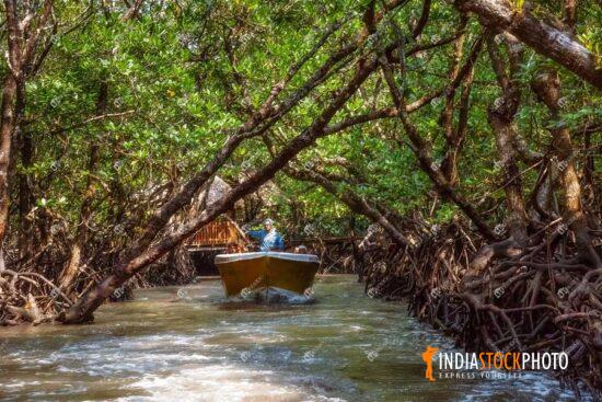 Tourist boat ride through mangrove forest at Baratang island Andaman