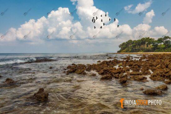 Rocky Neil island sea beach at Andaman and Nicobar islands