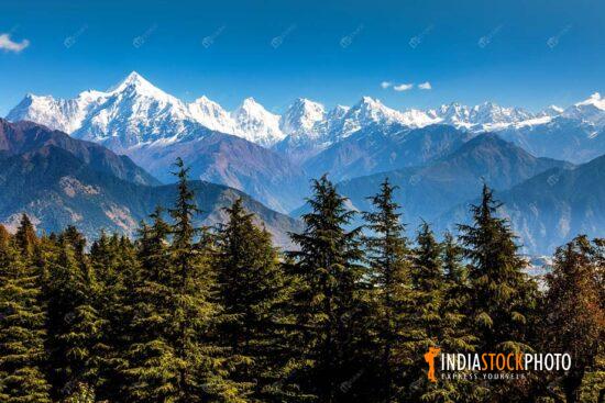 Himalayan Panchchuli snow peaks with pine forest at Munsiyari Uttarakhand