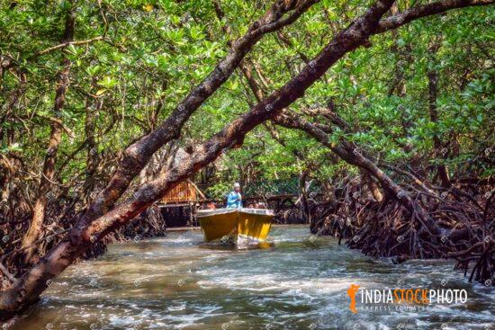 Tourist enjoy boat ride through mangrove forest at Baratang Island at Andaman