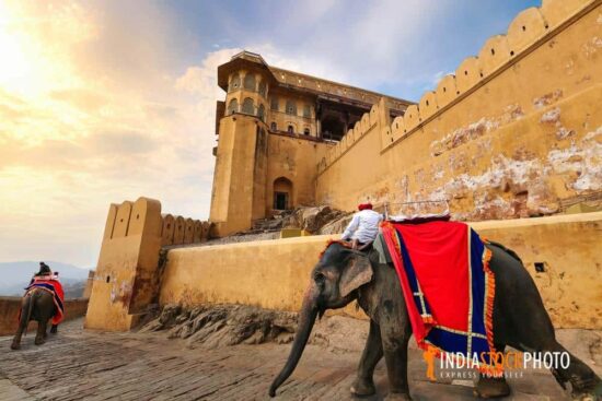Decorated Indian elephant used for tourist ride at Amer Fort Jaipur Rajasthan